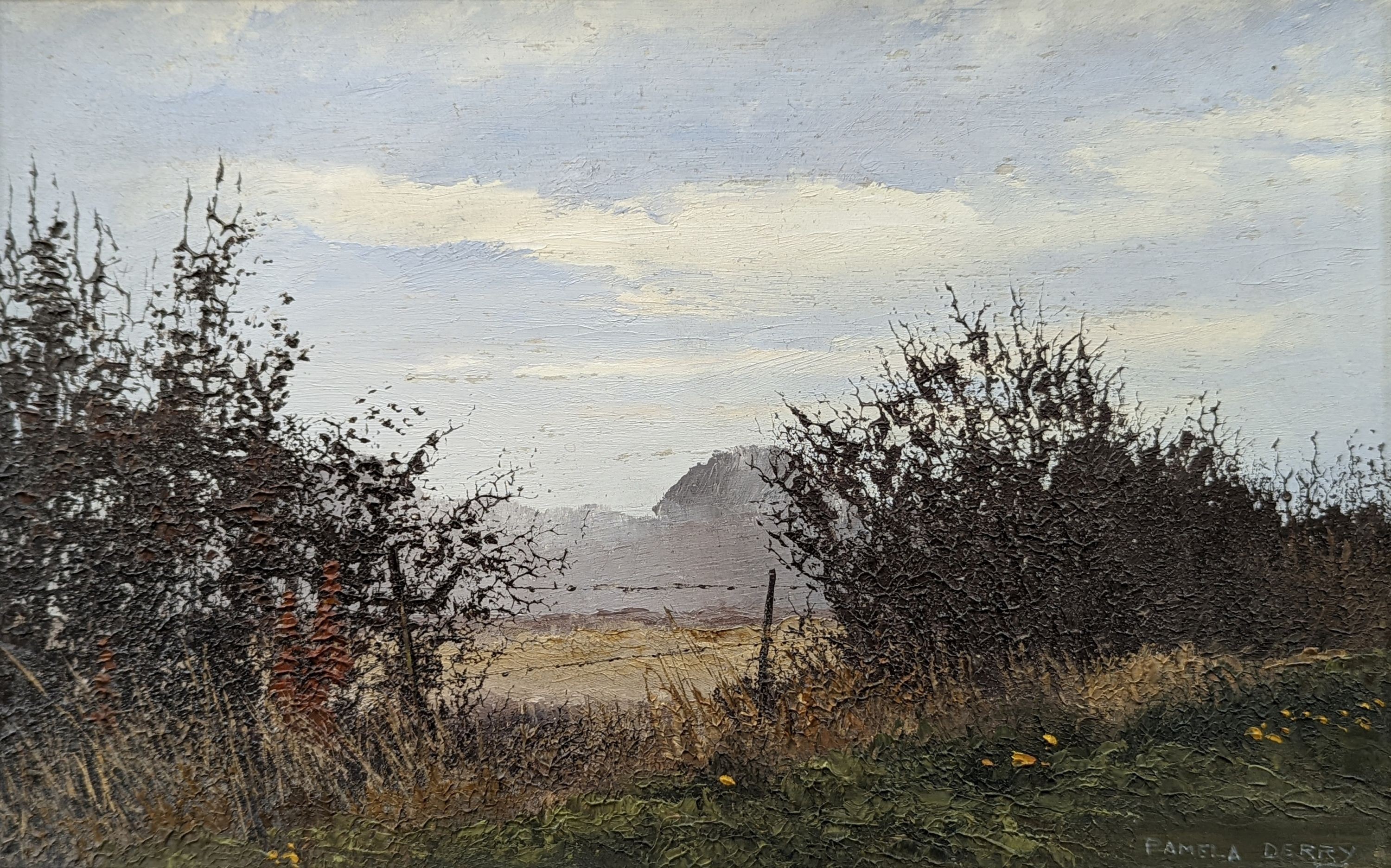 Pamela Derry (1932-2002), oil on board, Field side landscape, signed, 21 x 34cm